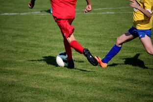 乐鱼vip-中国田径队在世界舞台上表现优异，奖牌不断，中国田径队排名